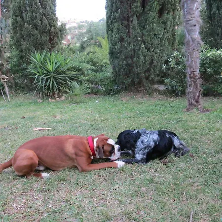 Сasa de vacaciones Le Del Riccio - Isola D'elba Capoliveri (Isola d'Elba)