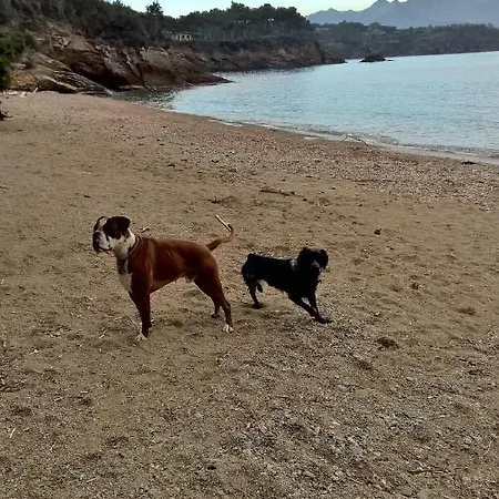Le Del Riccio - Isola D'elba Capoliveri (Isola d'Elba)