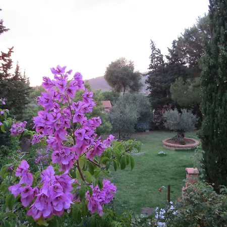 Le Del Riccio - Isola D'elba Сasa de vacaciones *